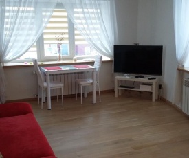 Apartment in Kaunas Old Town