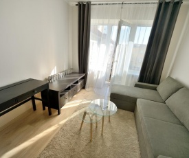 Comfortable Centrally Located Flat in Kaunas City