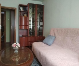 Cosy apartment in KAUNAS
