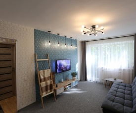 Delightful Apartment in Kaunas